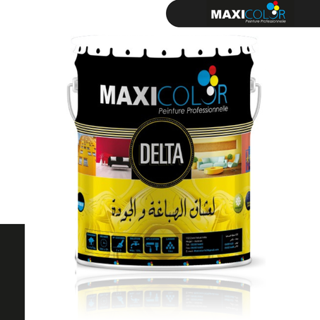 Delta Peinture vinylique Mat pour les travaux intérieurs
