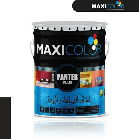 Peinture vinylique Mat pour les travaux intérieurs et extérieur