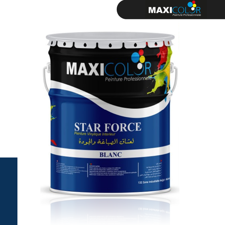 Starforce Peinture vinylique Mat pour les travaux intérieurs et extérieur