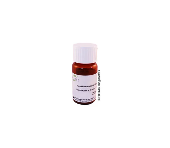 Chloramphénicol 50 mg supplément sélectif