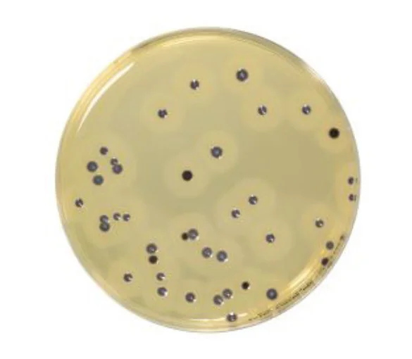 Baird-Parker RPF – gélose