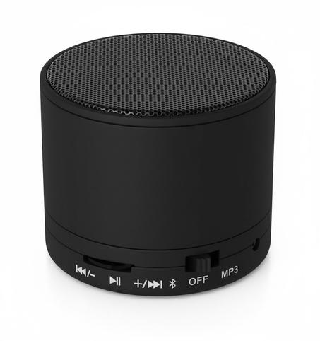 Haut parleur métallique  IMG-1148