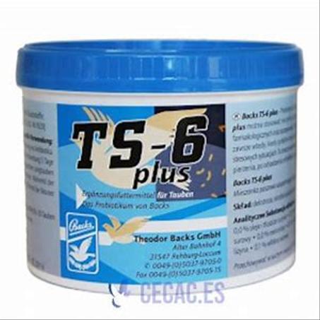 Backs TS-6 plus