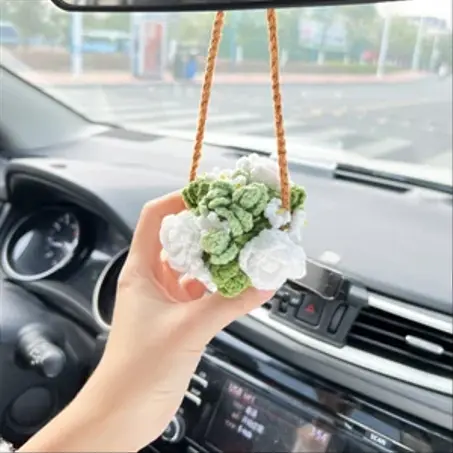 أكسسوارات السيارات