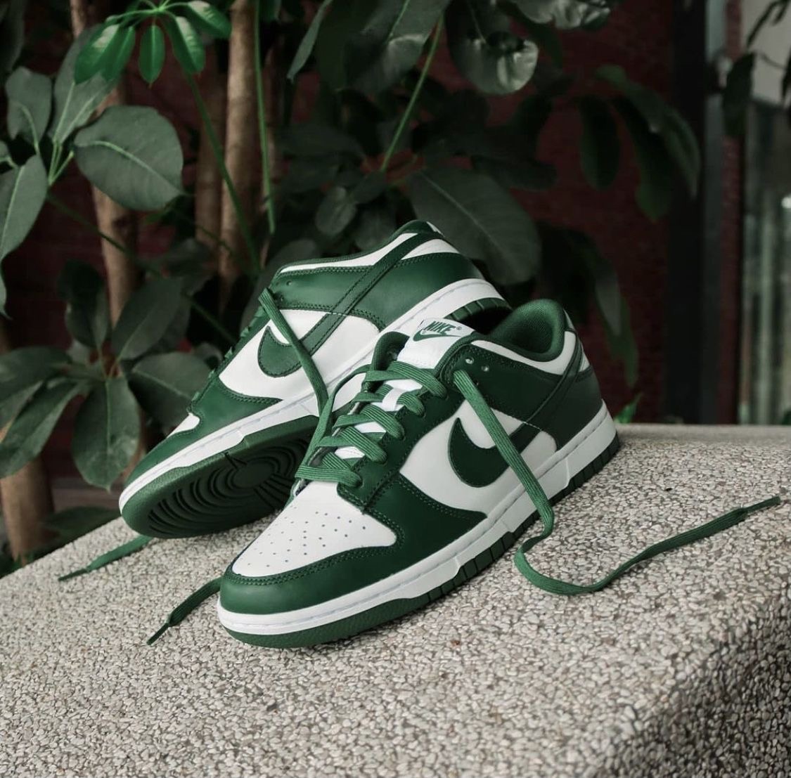 Dunk Low 