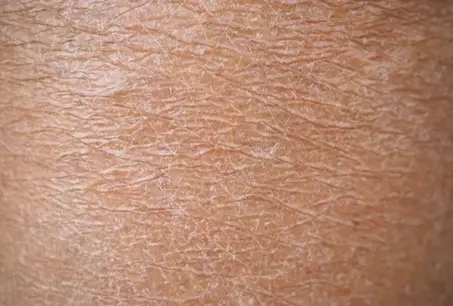 pour le corp   للجسد