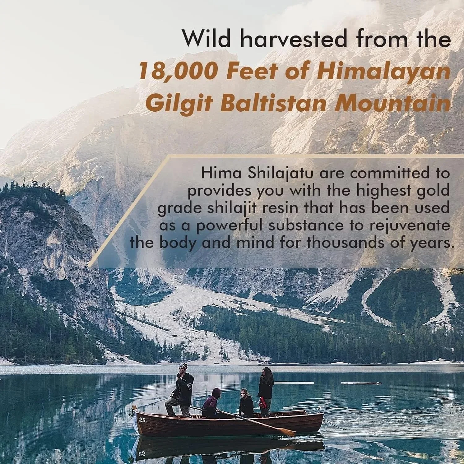 Shilajit Supplement    مكمل الشيلاجيت