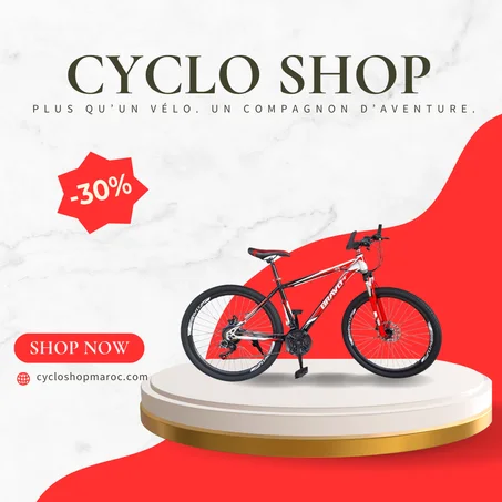 Bicyclette VTT 26" avec Amortisseur - Marque BRAVO+