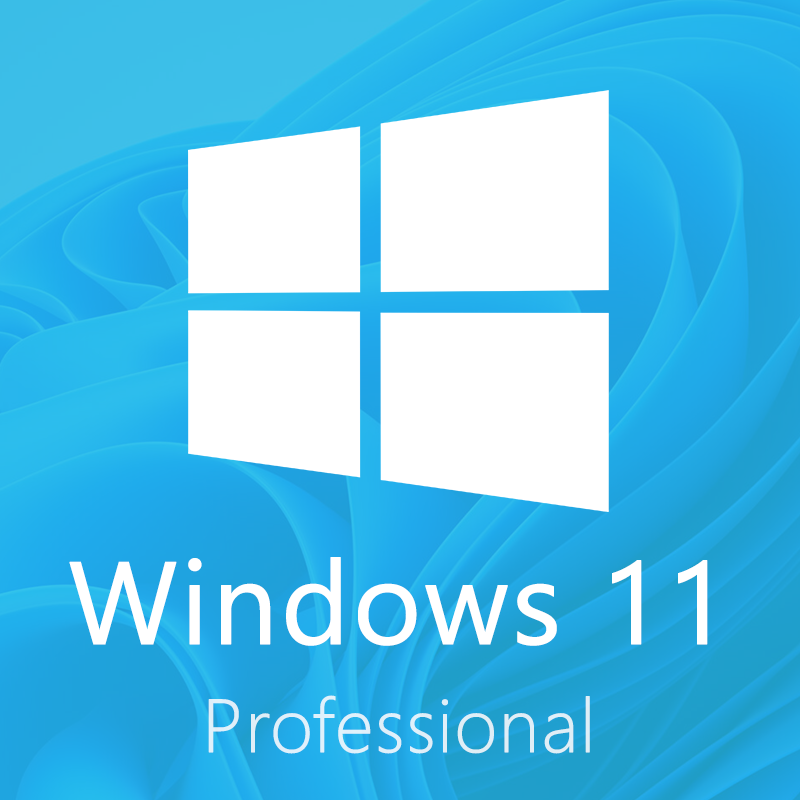 Windows 11 Pro