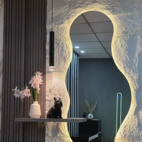 Miroir Mural Design avec Rétro-éclairage LED et Étagère Intégrée