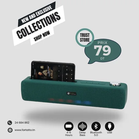 Haut-Parleur Bluetooth