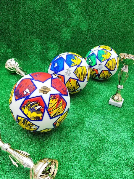 Ballon champions league taille5