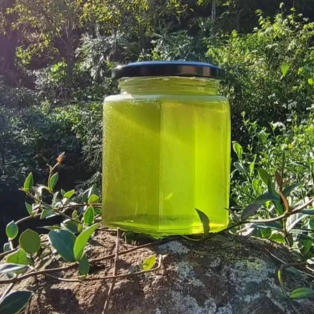 العسل الأخضر الناذر وشاي الكنوز الثمانية للكلى والضعف