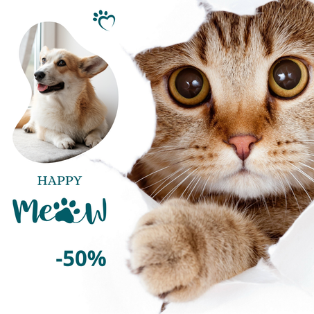 مستلزمات الحيوانات الأليفة