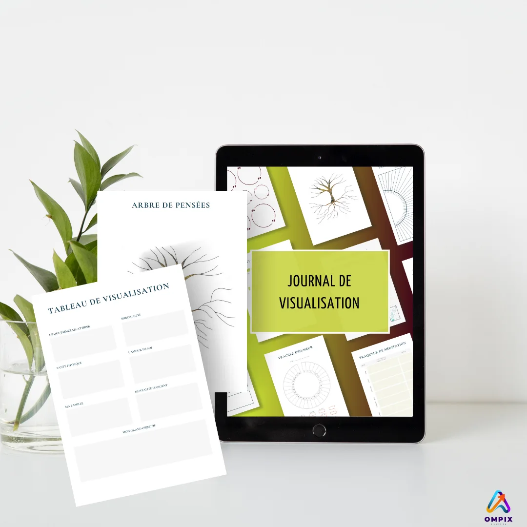 Journal de Visualisation - Version Français