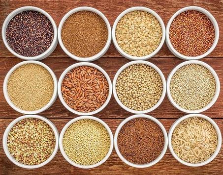 البذور والدقيق