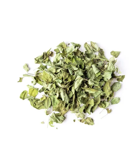 أوراق المورينجا