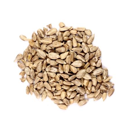 زريعة نوار الشمس