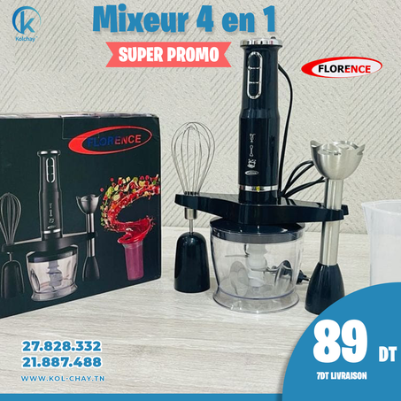 Mixeur Plongeant Florence 4-en-1