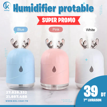 Lampe Diffuseur d'Huiles Essentielles Electrique Portable