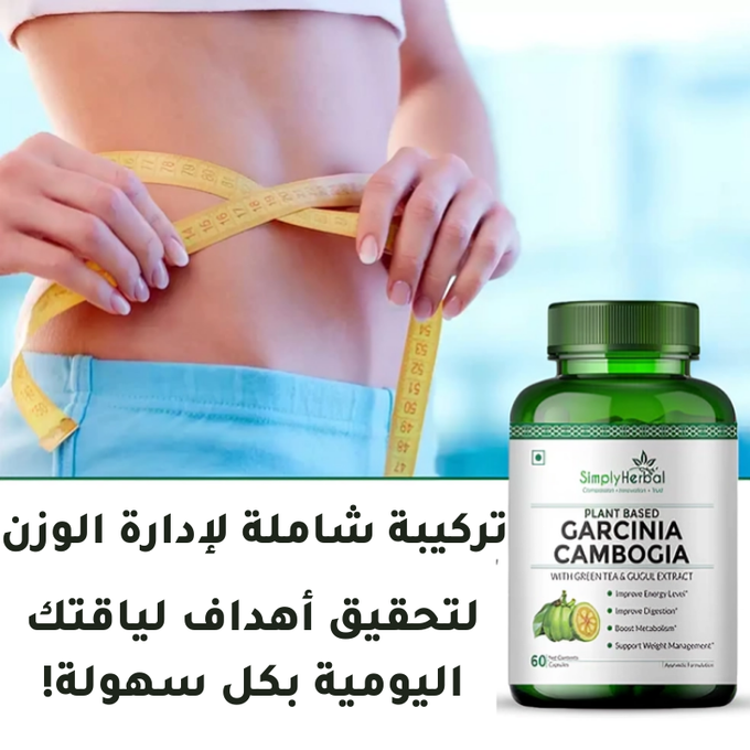 stores/63938e10032fbfa642fbe11cde5e01b0/products/GD2nalbgOVmc1UF208WghXbKmw69FpNFxTXFqeUC.png