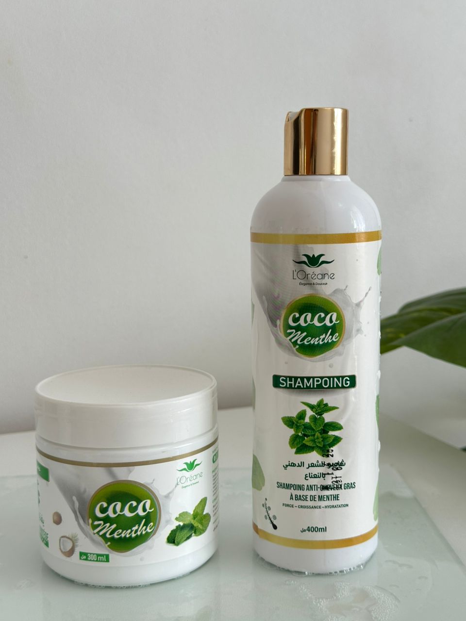 Pack Coco Menthe