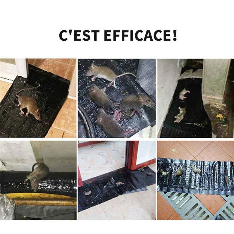 😎Piège à souris à détection😎 cote