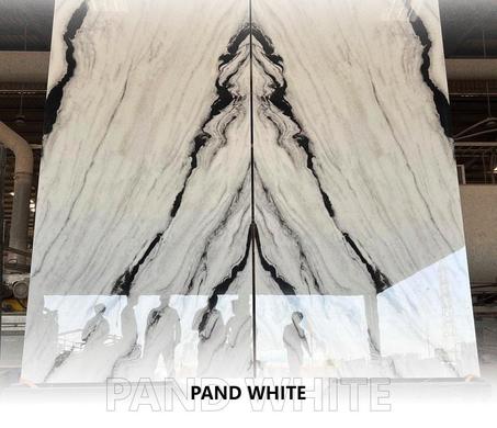 BANDA WHITE