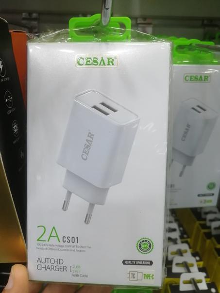 CHARGER CESAR 2A CS01