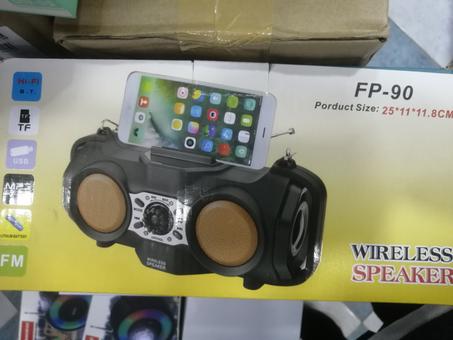 مكبر صوت FP-90