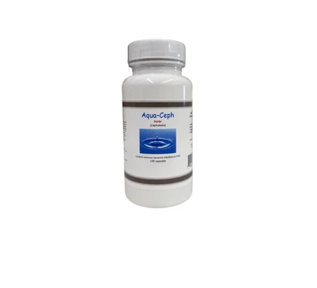 Aqua Ceph Forte Cephalexin - 500mg 100 Capsules