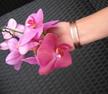 stores/642c96c4c0624aecbb830235c17eaac5/products/i3G6pP0U3Na9geBfJ3d0tZQlEu3cVD9PKmk9GyS1.jpg