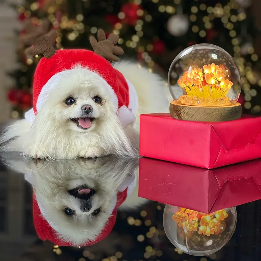 DIX™ - ⭐ LAMPE À FLEUR 🌷 Capsule 🔮  🌌