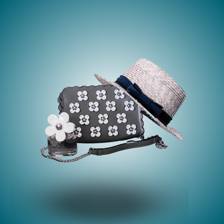 الإكسسوارات