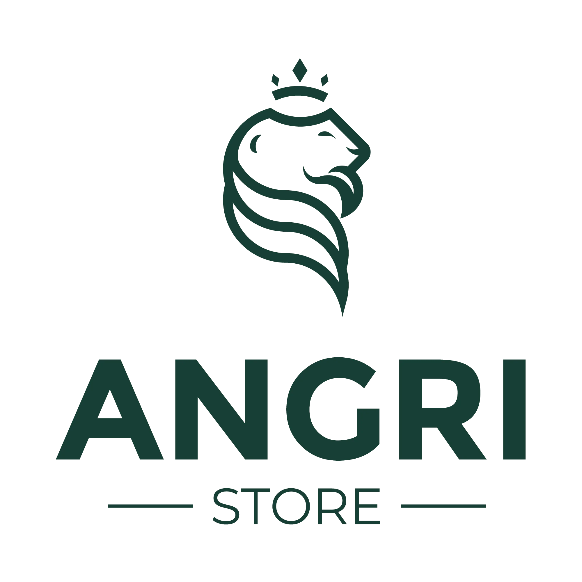 ANGRI STORE