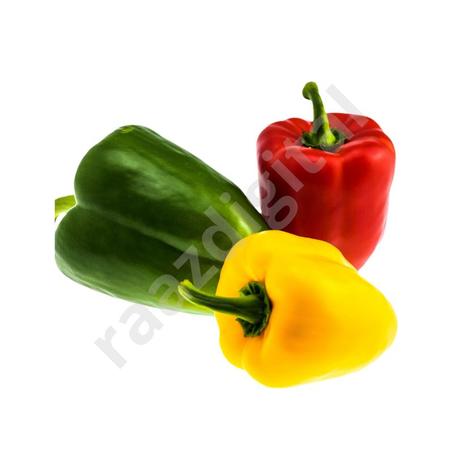 Poivron  – فلفل ( 1 kg )