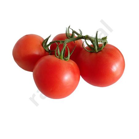 Tomate – مطيشة ( 1kg )