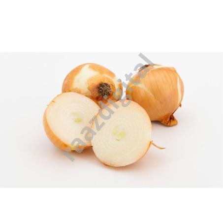 Oignon blanc – بصل بيضاء ( 1Kg )