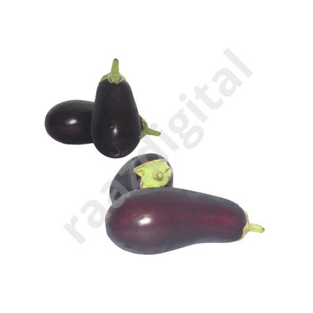 Aubergine – باذنجان (500g)