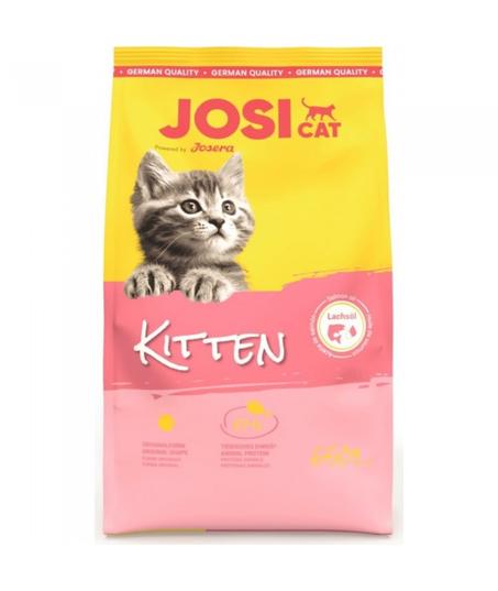 JosiCat Kitten