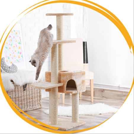 خداشة و شجرة للقطط - Griffoir/ Arbre à chats