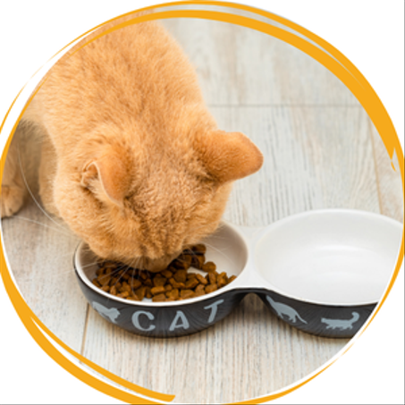 Alimentation - طعام