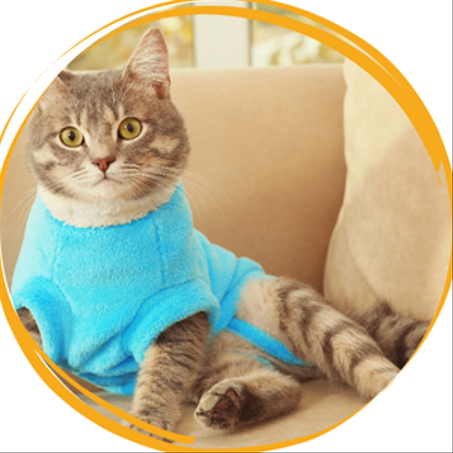 vêtement - ملابس