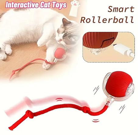 Balle mobile rechargeable rapide pour chats