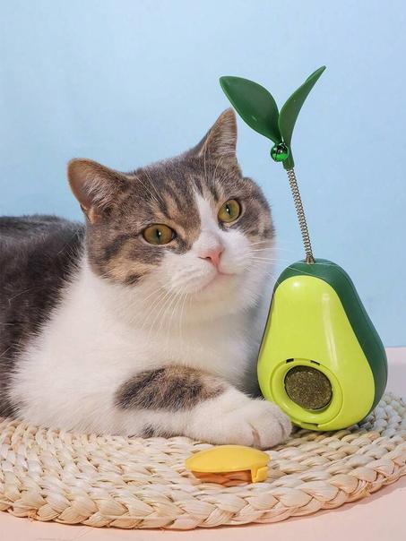 Jouet avocat au catnip pour chats