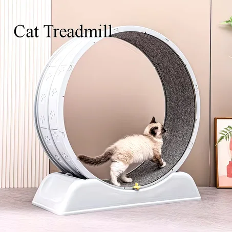 Jouet d'exercice pour chat d’intérieur – Roue stable avec tapis griffoir amovible