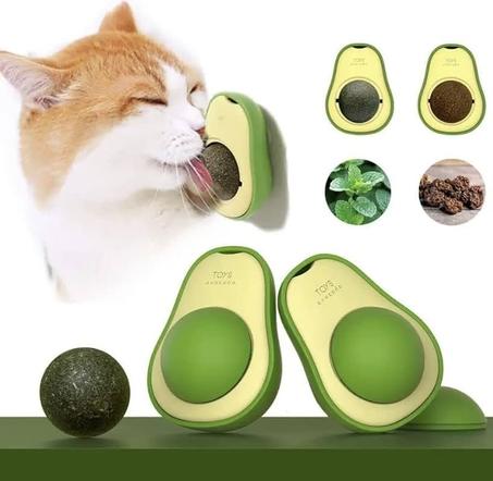 boule d'avocat avec herbe à chat pour chats