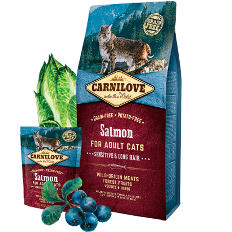 Carnilove Croquettes Cat Salmon Sensitive (DIGESTION SENSIBLE, POIL LONG) 2kg