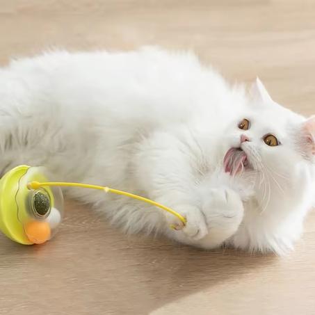 Jouet  interactif pour chat avec boule de catnip