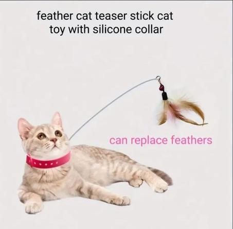 Jouet Interactif Pour Chat